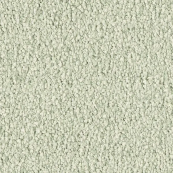 Vorwerk Violetta 6C95 – Draufsicht Teppichboden Farbe 6C95 ohne Badge